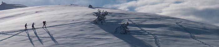 Stations de ski