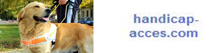 bandeauhandicaplocale