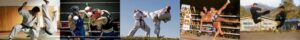 bandeaucombat