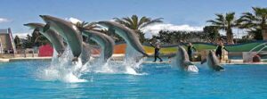 marineland1