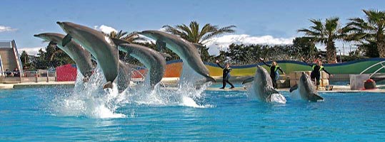 marineland1