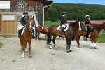 equitation