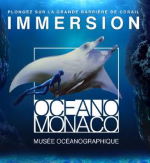 Expo - immersion
