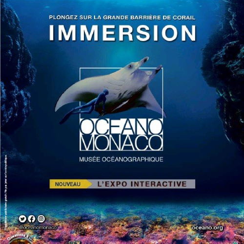 Expo - immersion - carré