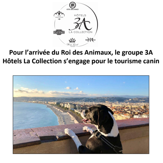 Groupe 3A Hôtels La Collection- TOURISME CANIN - NICE