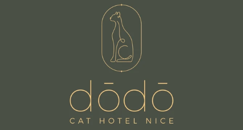 dodo-cat-hotel-Nice - bandeau